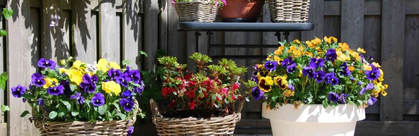 plantenbakken in een tuin